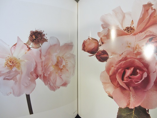 FLOWERS / Irving Penn アーヴィング・ペン | ON THE BOOKS